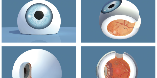 Rondwandelen in een reusachtig oog