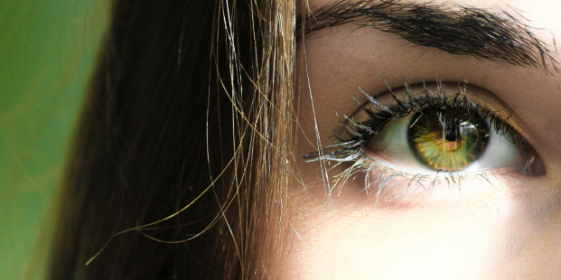 Commentaarfase cluster Oog