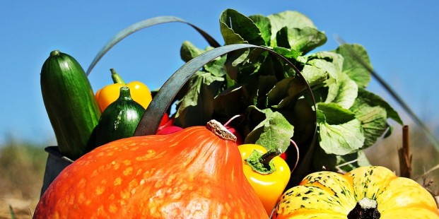 Scholingsmiddag 4 september 'Maculadegeneratie, diagnostiek en preventie'